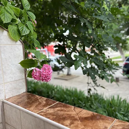 Sozopolis Haven 索佐波尔
